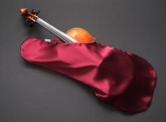 Violin Bags